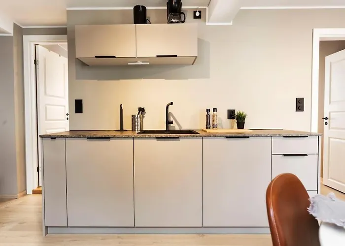 New! Modern Apartment In Historic Area Of Bergen!